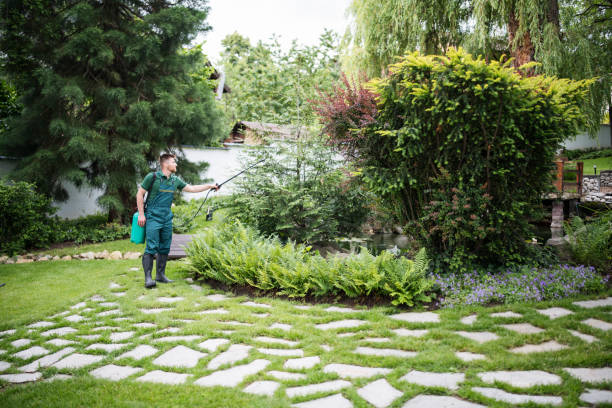 Best Lawn Dethatching  in Shallowater, TX